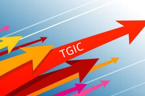 呔嗶克TGIC固化劑出口商采購注意事項